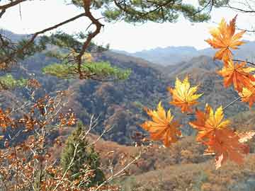 电力板块异动拉升，韶能股份2连板|界面新闻 · 快讯